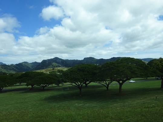 DSC01147.jpg