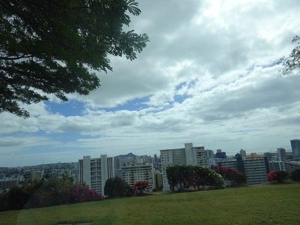 DSC01155.jpg