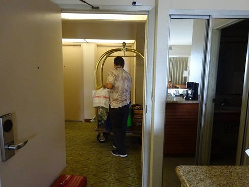 DSC01169.jpg