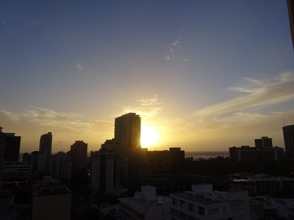 DSC01392.jpg