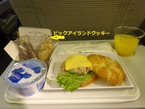 DSC01747.jpg