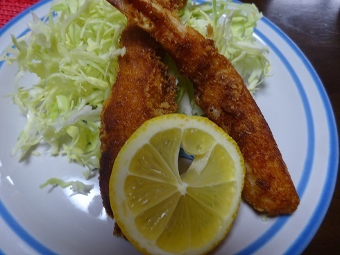DSC02028.JPG