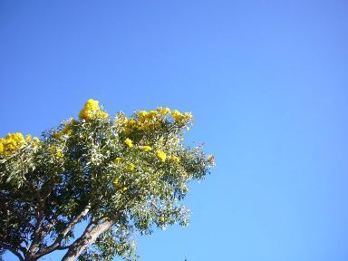 青い空.jpg